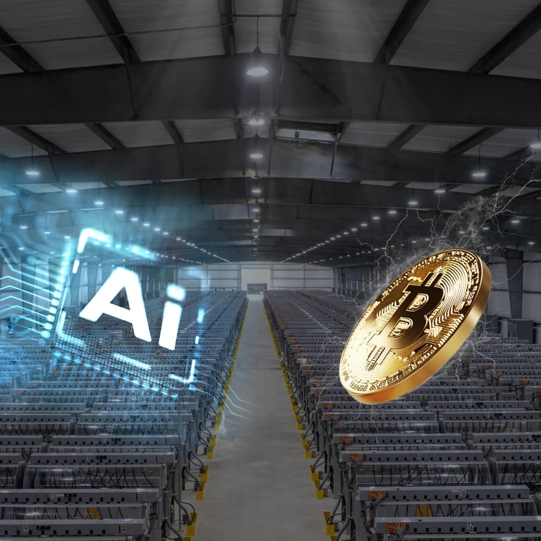 Waste or work - the energy case for bitcoin mining beyond price speculation